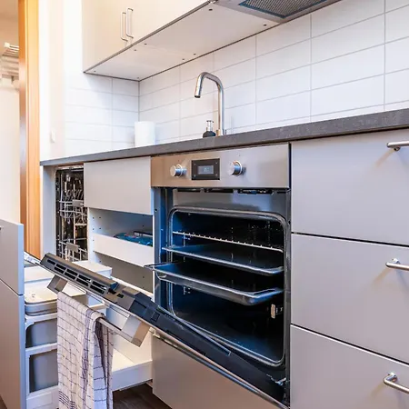 Cityapartment Mit Grossem Balkon Am Stadtpark- Disneyplus Und 300mbs Internet Appartement Chemnitz