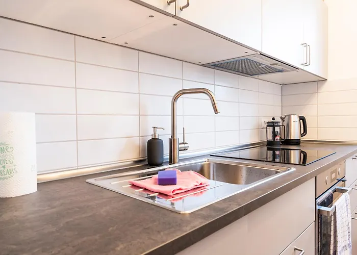 Cityapartment Mit Grossem Balkon Am Stadtpark- Disneyplus Und 300mbs Internet 开姆尼茨